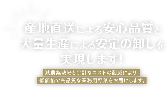 産地直送による安心品質と大量生産による安定の卸しを実現します！