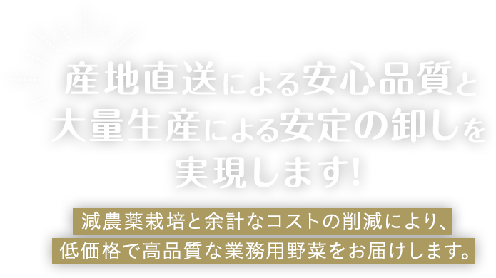 産地直送による安心品質と大量生産による安定の卸しを実現します！